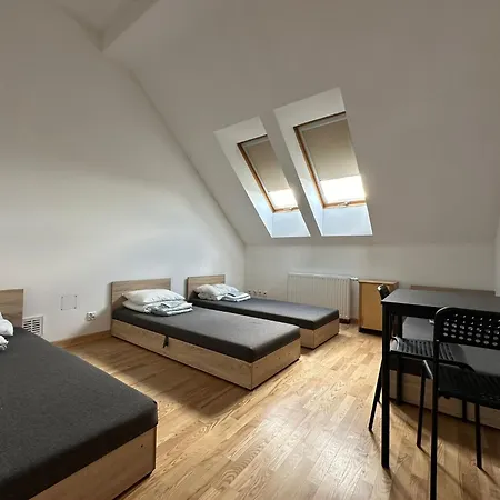 Shiba Gdańsk